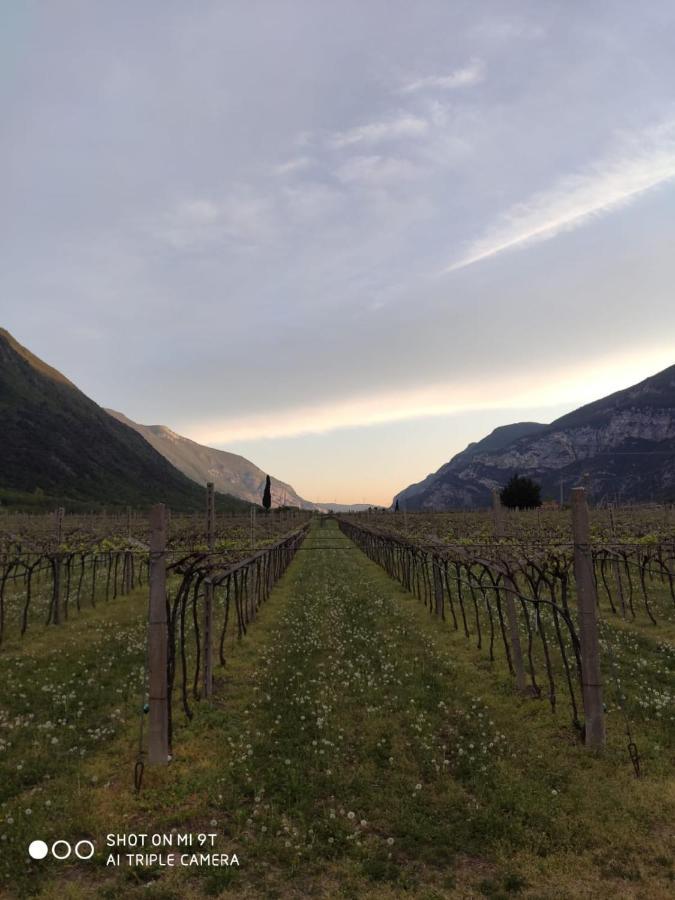 Agriturismo Revena Brentino Belluno Exterior foto