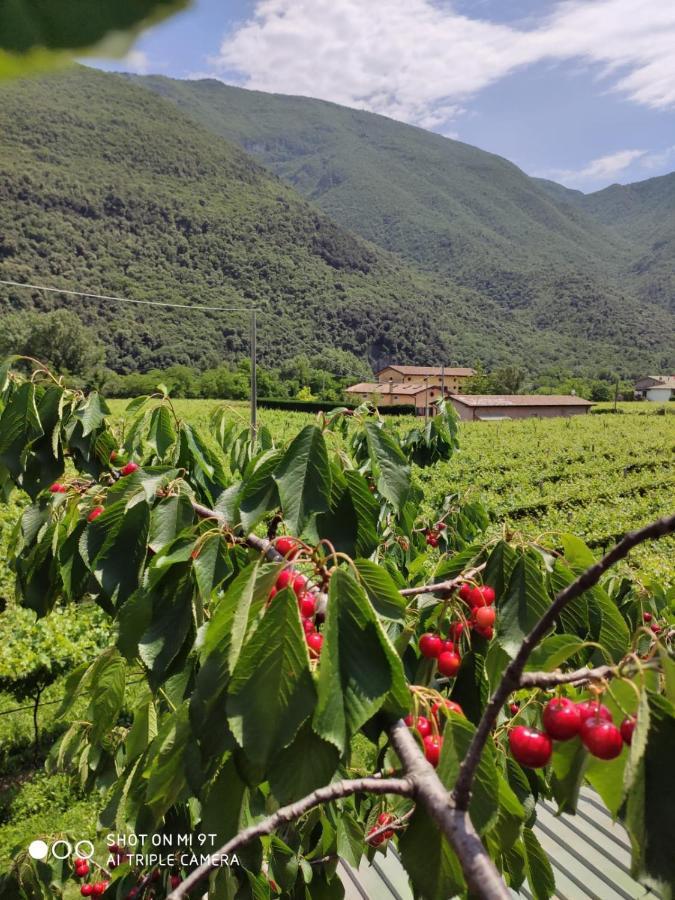 Agriturismo Revena Brentino Belluno Exterior foto